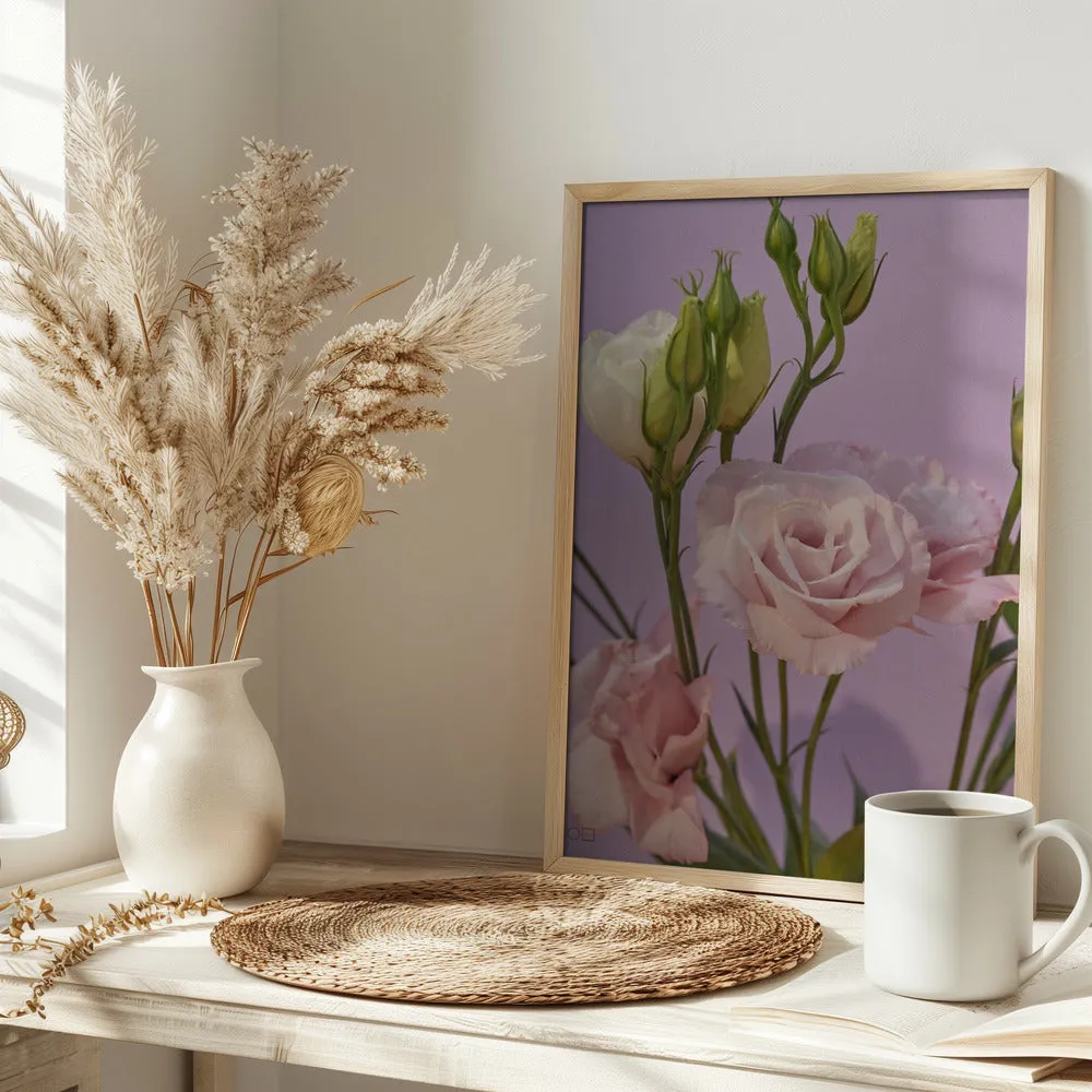 60 - Stretched Canvas, Poster or Fine Art Print