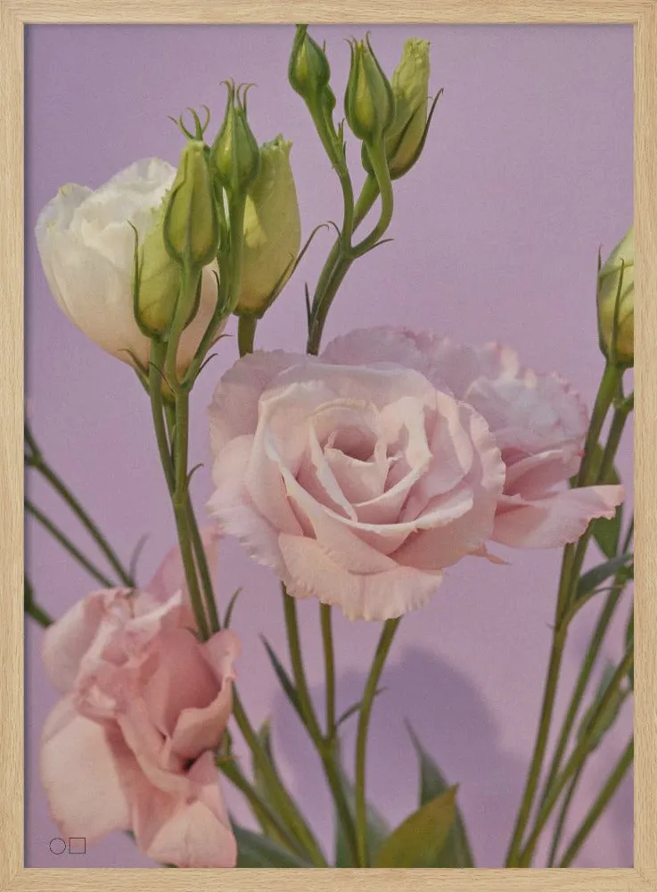 60 - Stretched Canvas, Poster or Fine Art Print