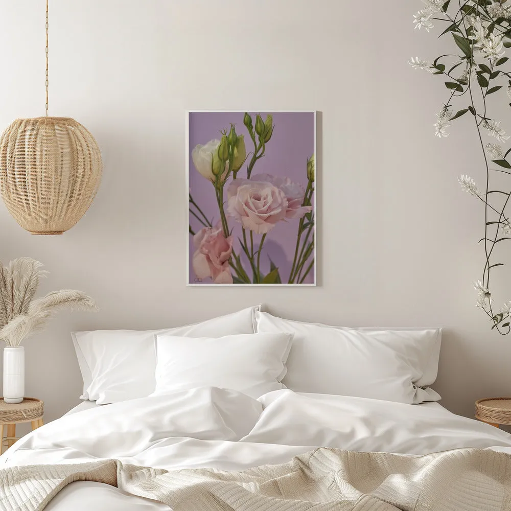 60 - Stretched Canvas, Poster or Fine Art Print