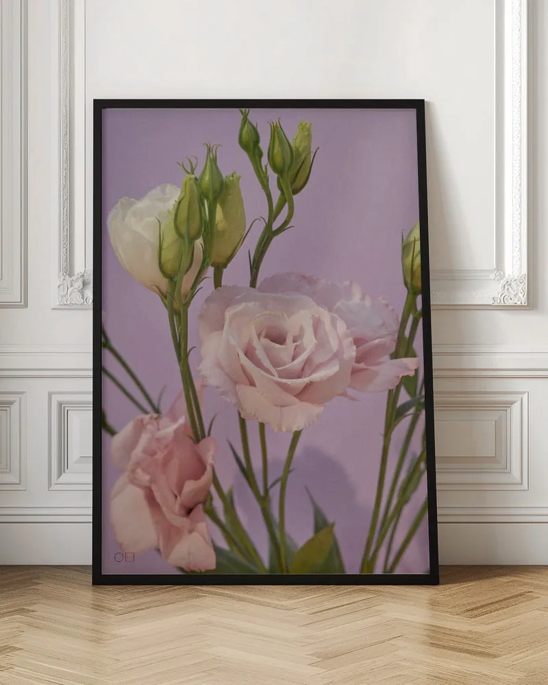 60 - Stretched Canvas, Poster or Fine Art Print