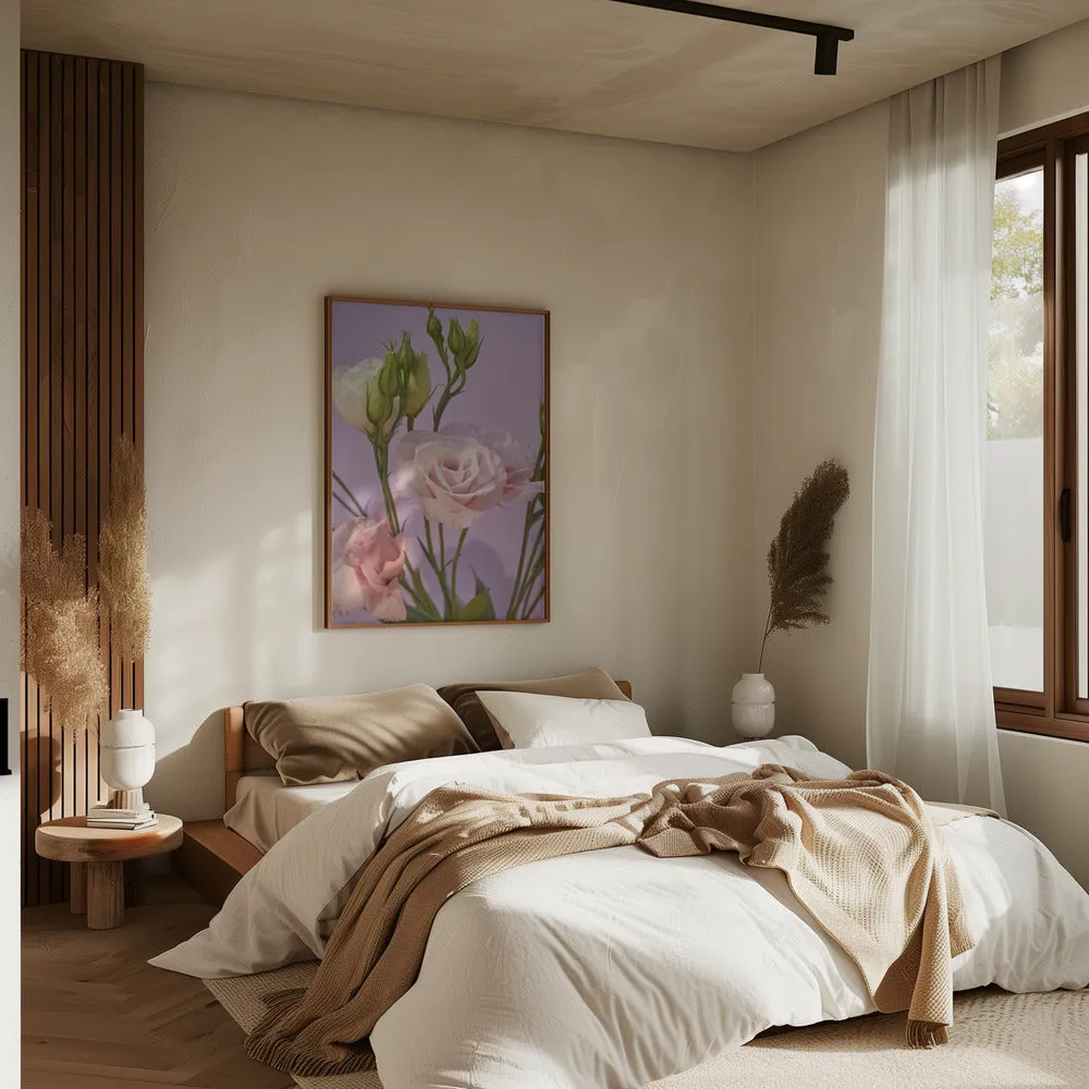 60 - Stretched Canvas, Poster or Fine Art Print