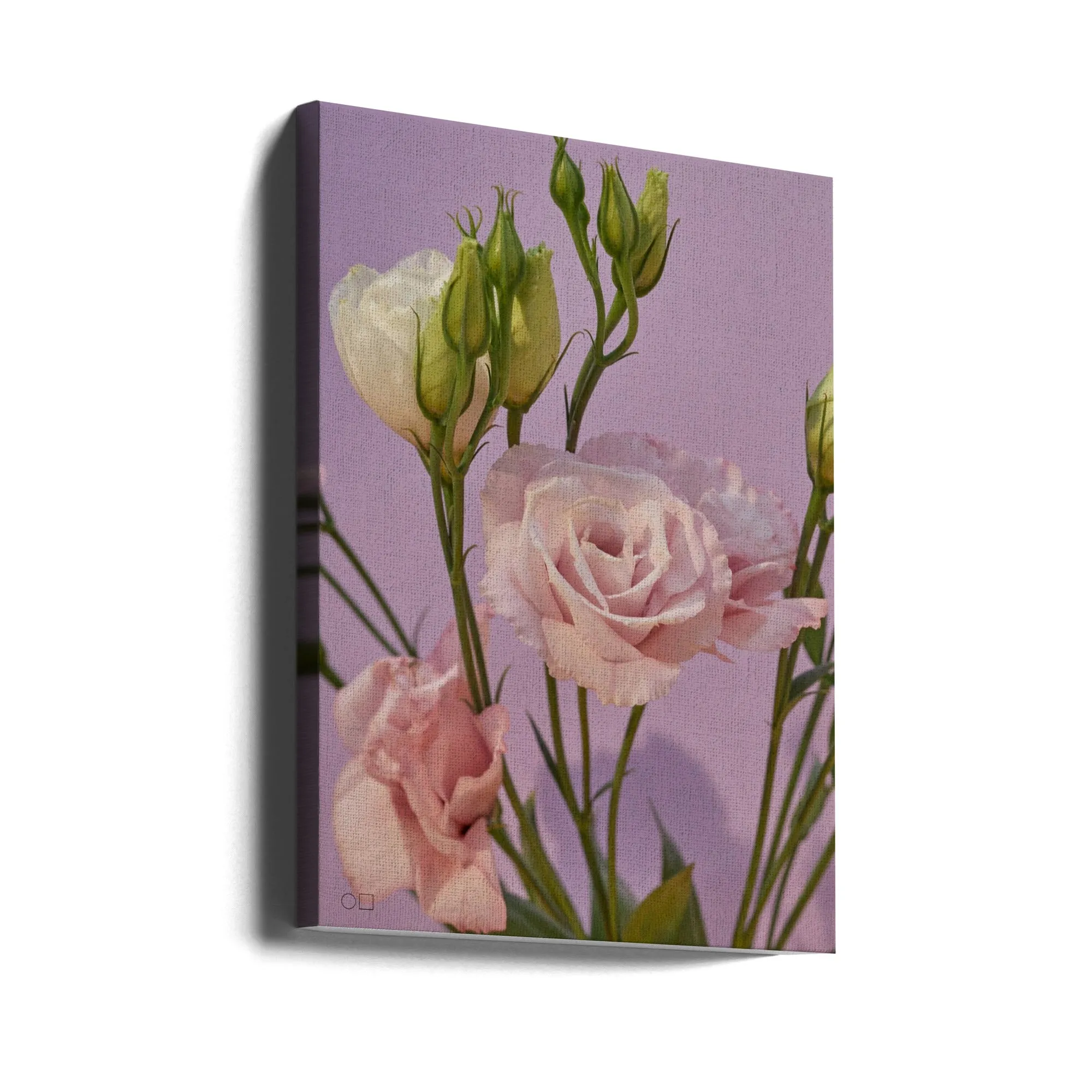 60 - Stretched Canvas, Poster or Fine Art Print