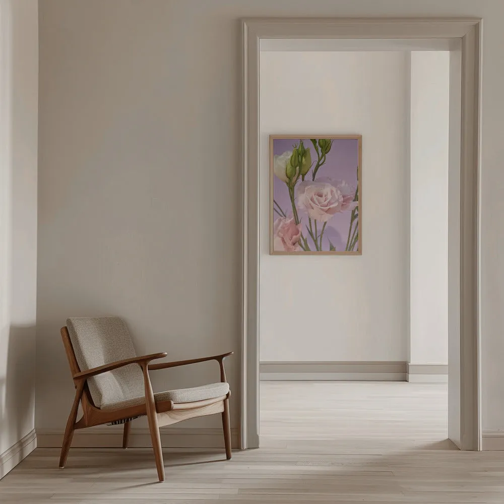 60 - Stretched Canvas, Poster or Fine Art Print