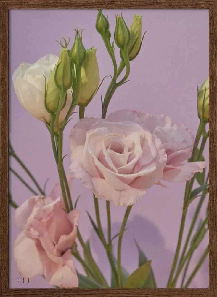 60 - Stretched Canvas, Poster or Fine Art Print