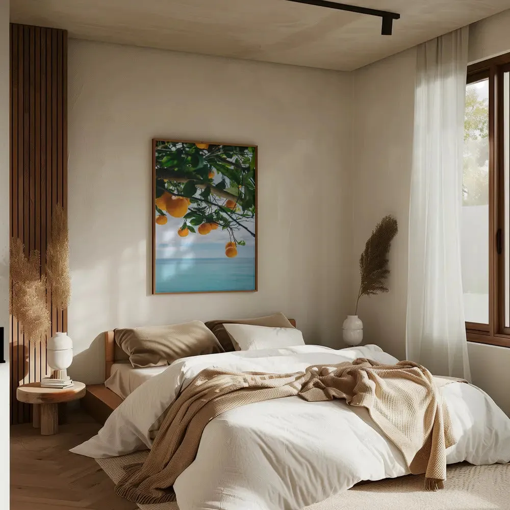 Amalfi Coast Oranges IV by Bethany Young- Italian Photographic Print