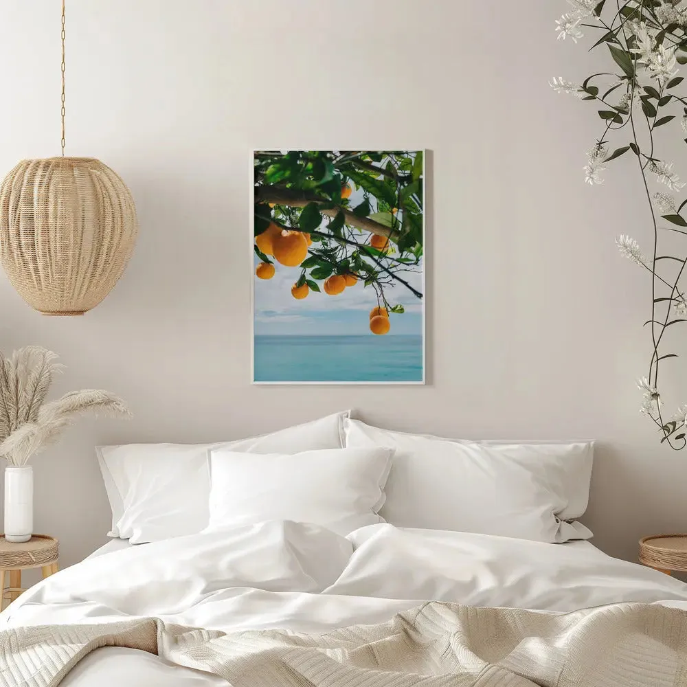 Amalfi Coast Oranges IV by Bethany Young- Italian Photographic Print