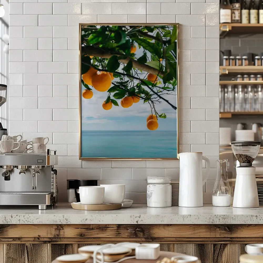 Amalfi Coast Oranges IV by Bethany Young- Italian Photographic Print