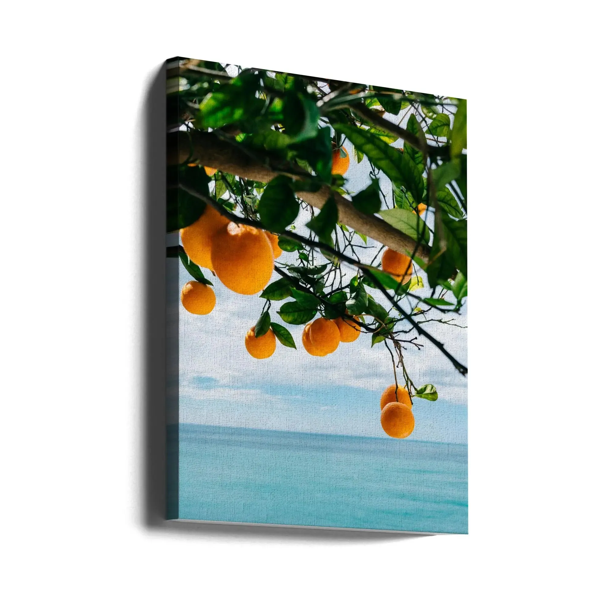 Amalfi Coast Oranges IV by Bethany Young- Italian Photographic Print