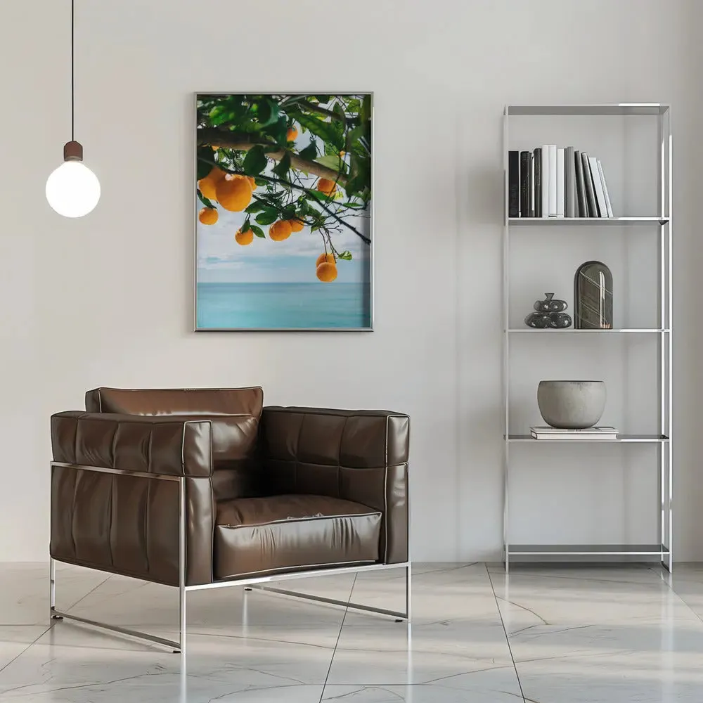 Amalfi Coast Oranges IV by Bethany Young- Italian Photographic Print