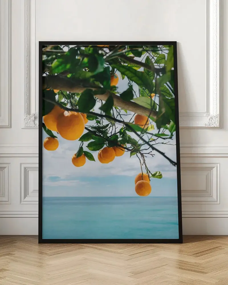 Amalfi Coast Oranges IV by Bethany Young- Italian Photographic Print