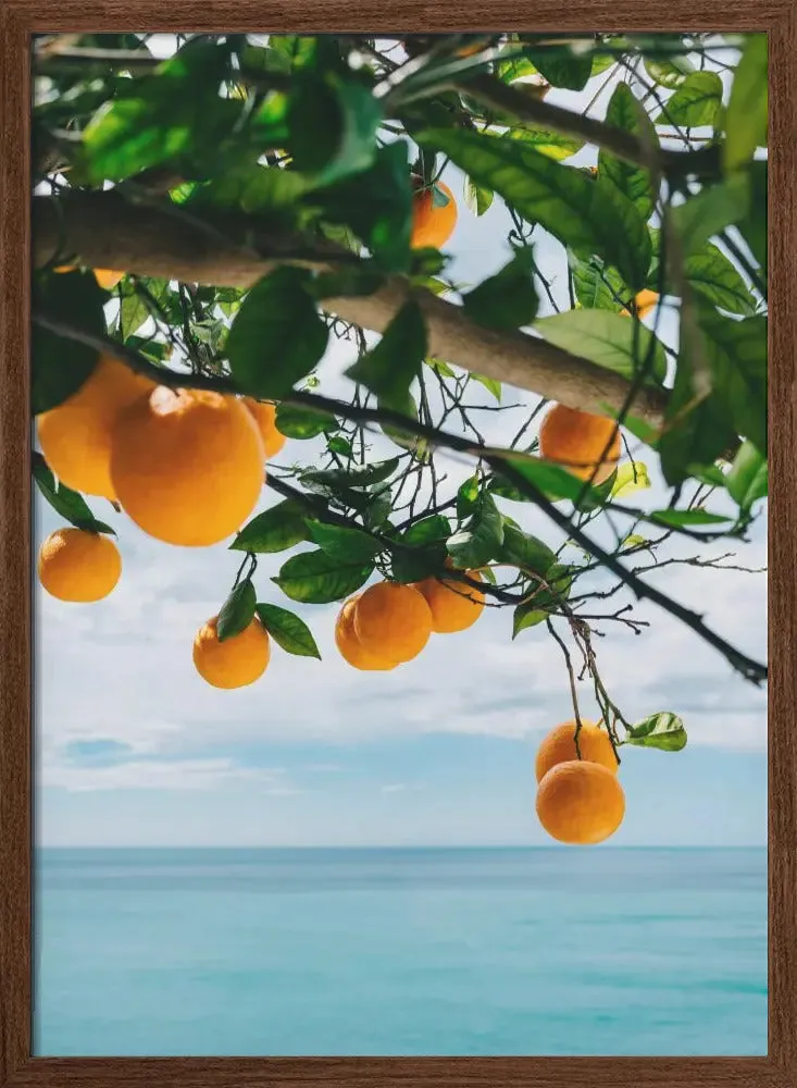 Amalfi Coast Oranges IV by Bethany Young- Italian Photographic Print