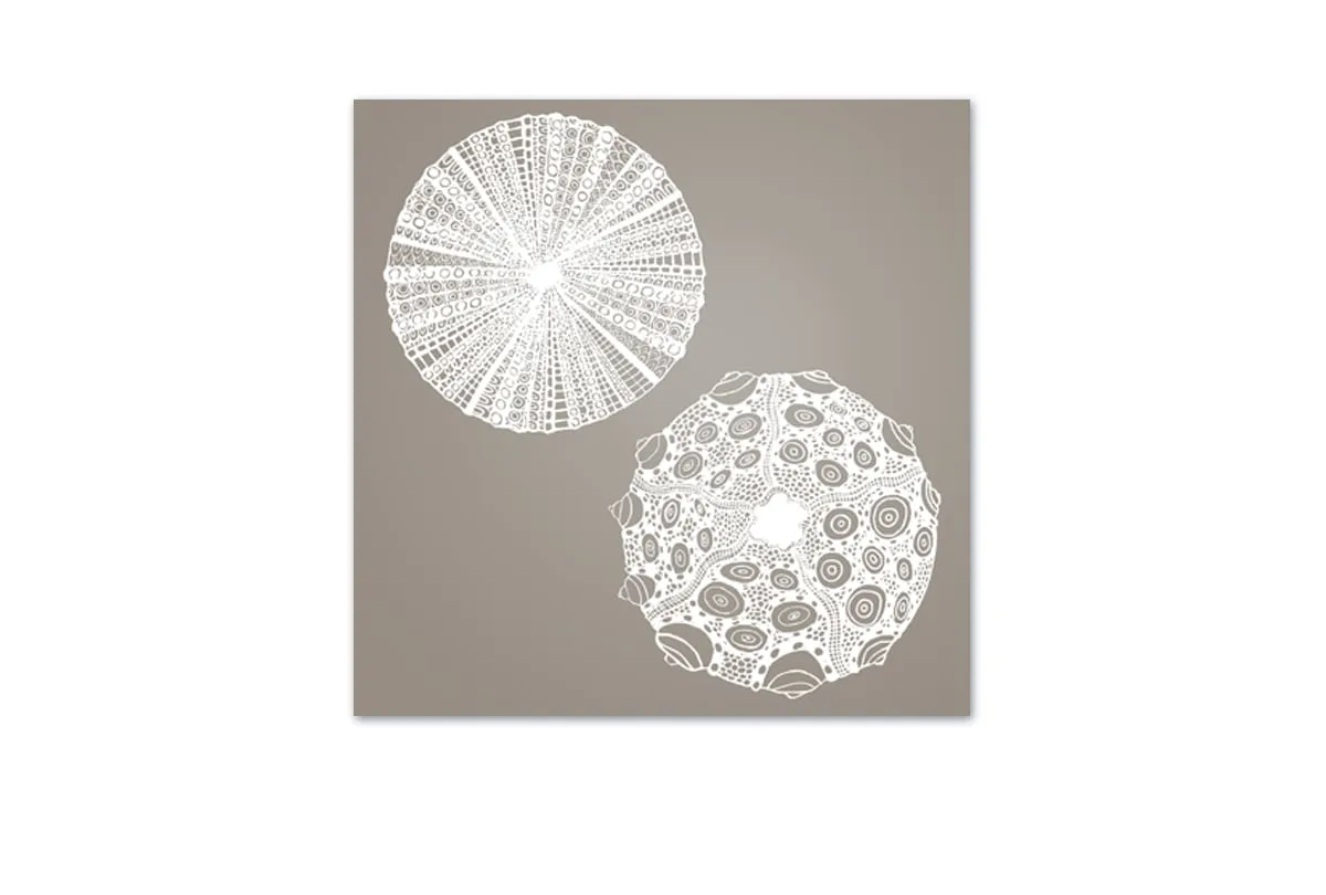 Anemone White on Beige | Canvas Wall Art Print