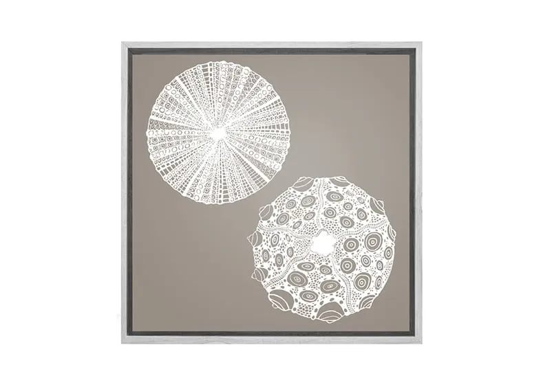 Anemone White on Beige | Canvas Wall Art Print