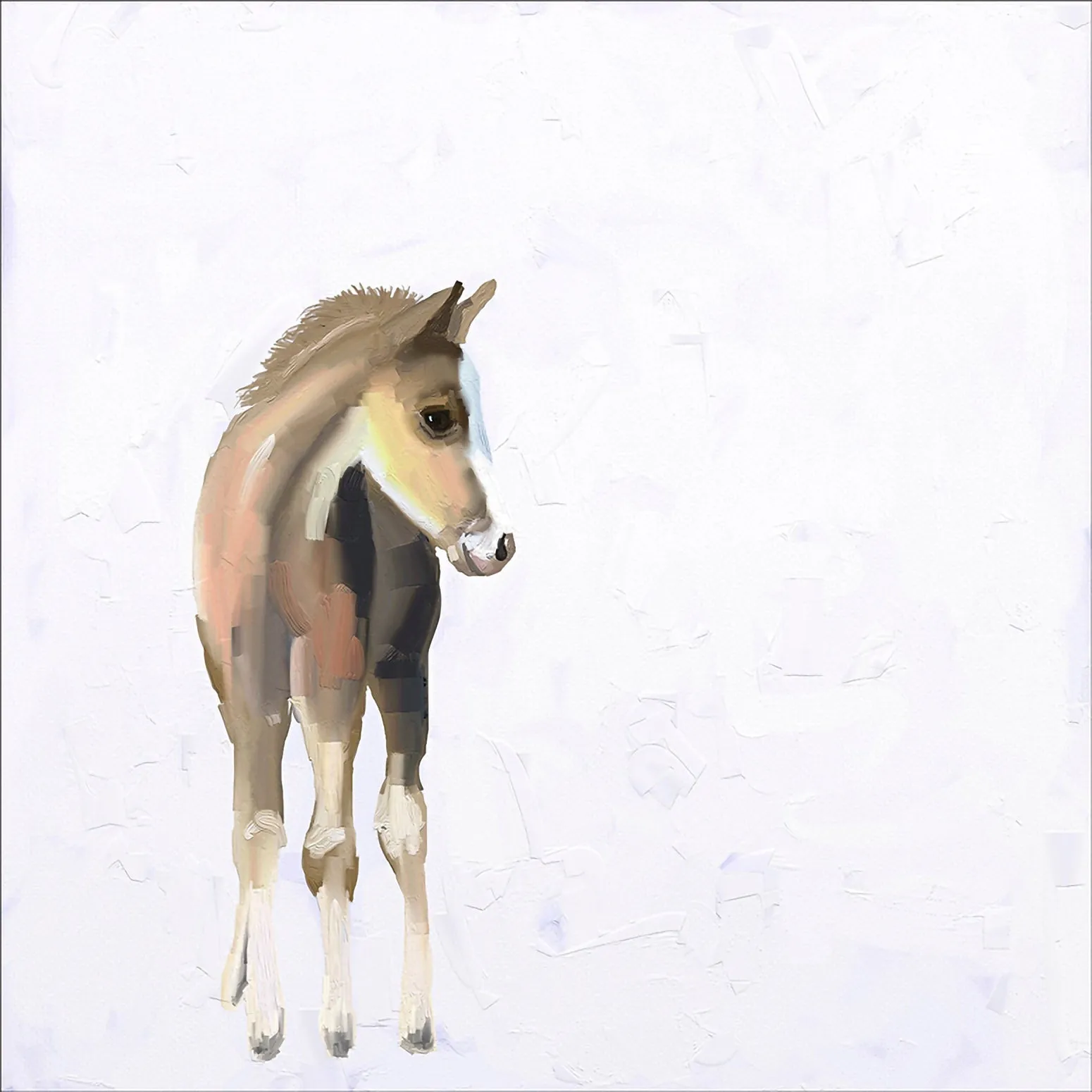 Baby Horse Canvas Wall Art