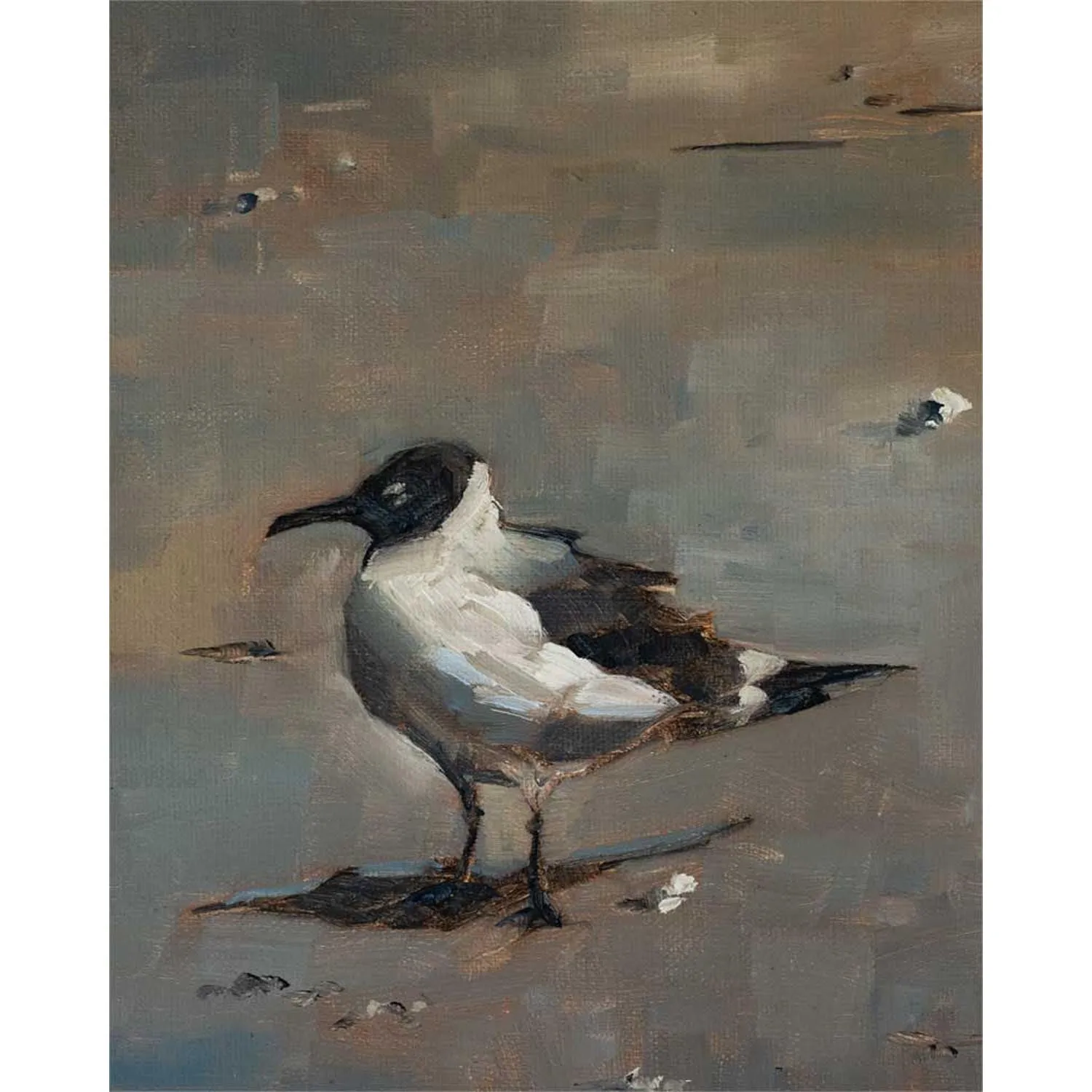 Beach Gull - I Canvas Wall Art