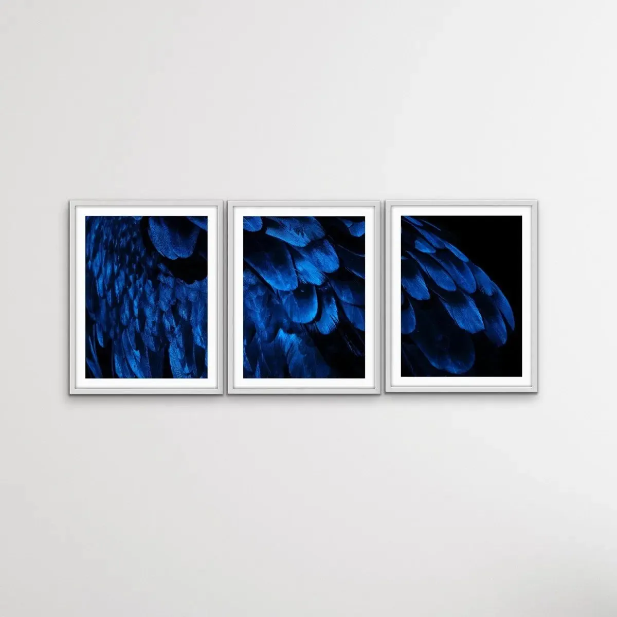 Birds Of A Feather - Three Piece Blue Feather Photographic Art Print  Set Triptych