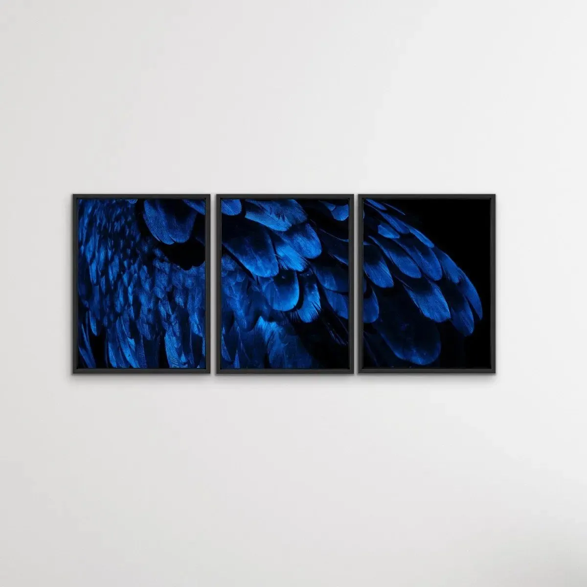 Birds Of A Feather - Three Piece Blue Feather Photographic Art Print  Set Triptych