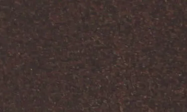 Burnt Penny