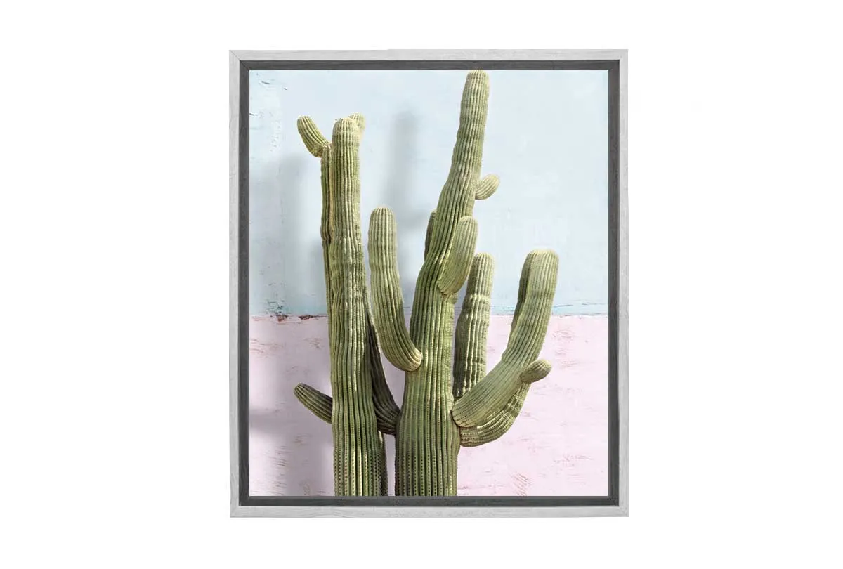 Cactus Against Pink Blue Wall | Canvas Wall Art Print