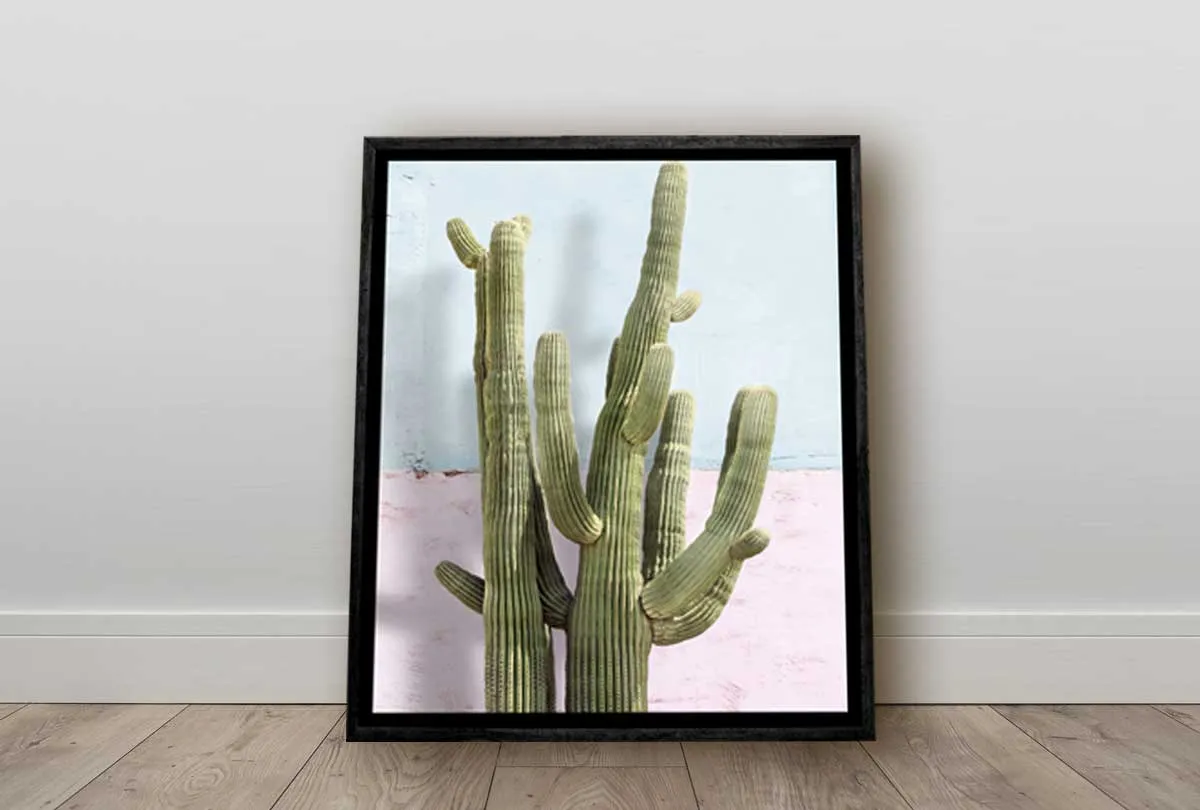 Cactus Against Pink Blue Wall | Canvas Wall Art Print