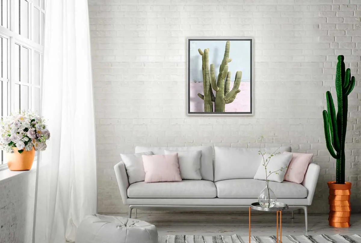 Cactus Against Pink Blue Wall | Canvas Wall Art Print