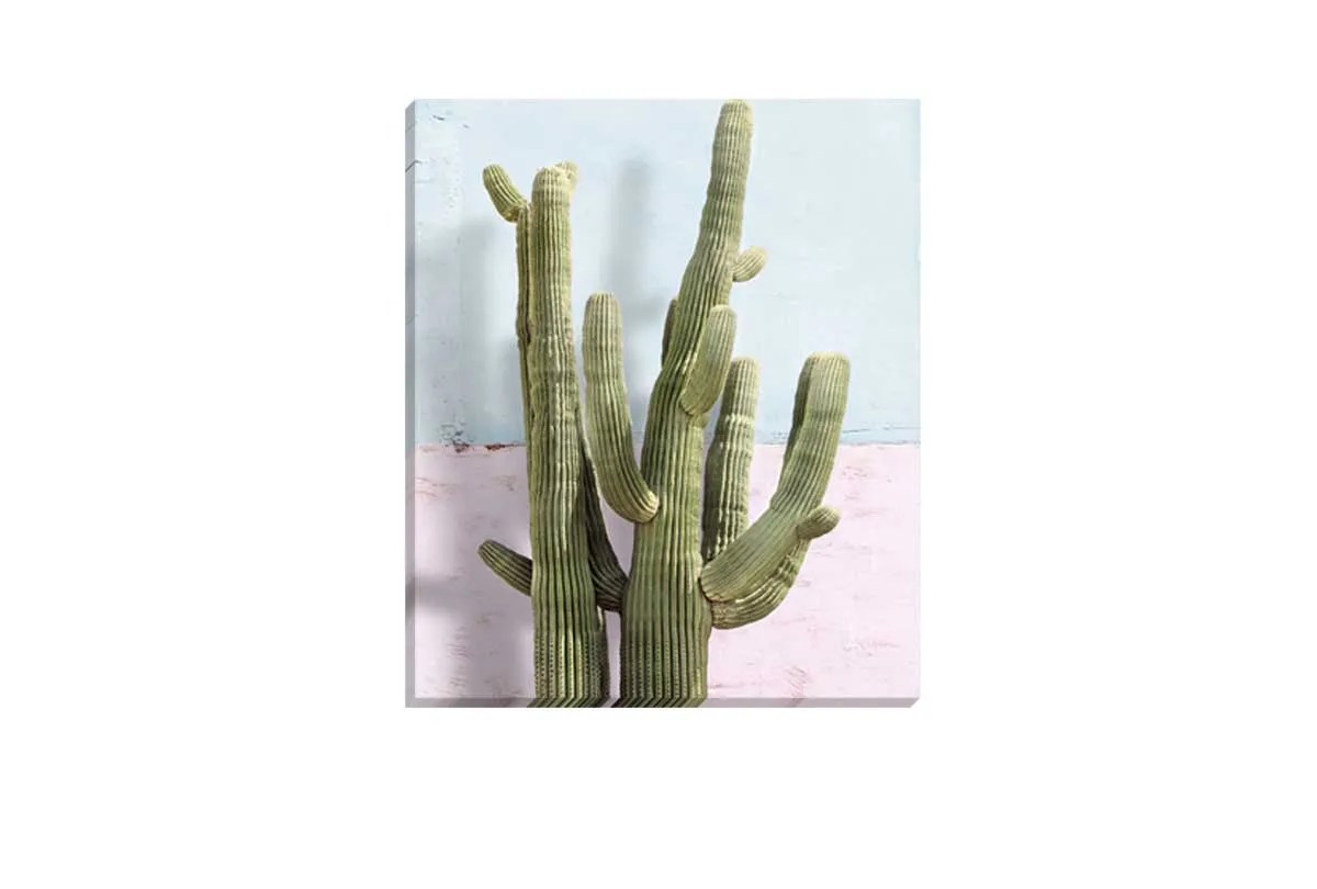Cactus Against Pink Blue Wall | Canvas Wall Art Print