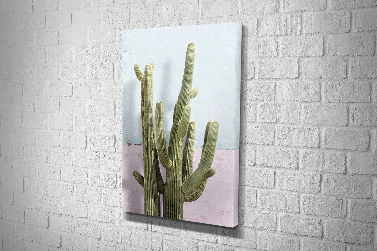 Cactus Against Pink Blue Wall | Canvas Wall Art Print