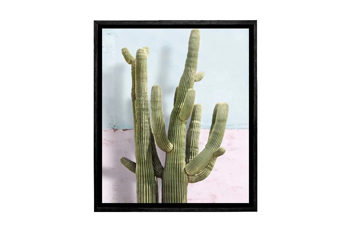 Cactus Against Pink Blue Wall | Canvas Wall Art Print