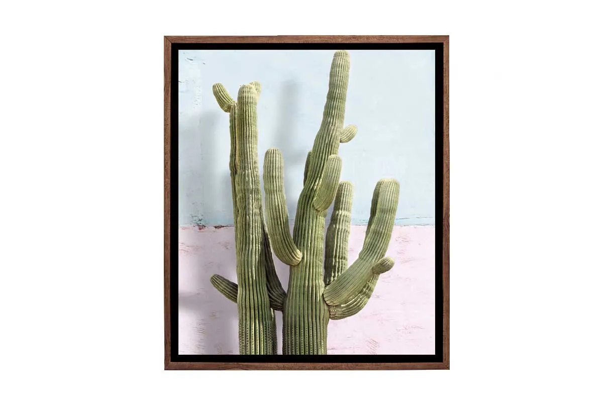 Cactus Against Pink Blue Wall | Canvas Wall Art Print
