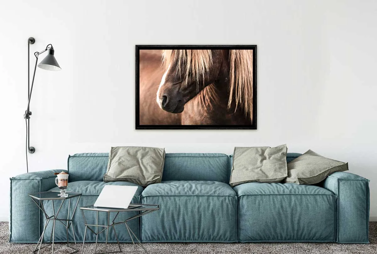 Icelandic Horse 3 | Canvas Wall Art Print