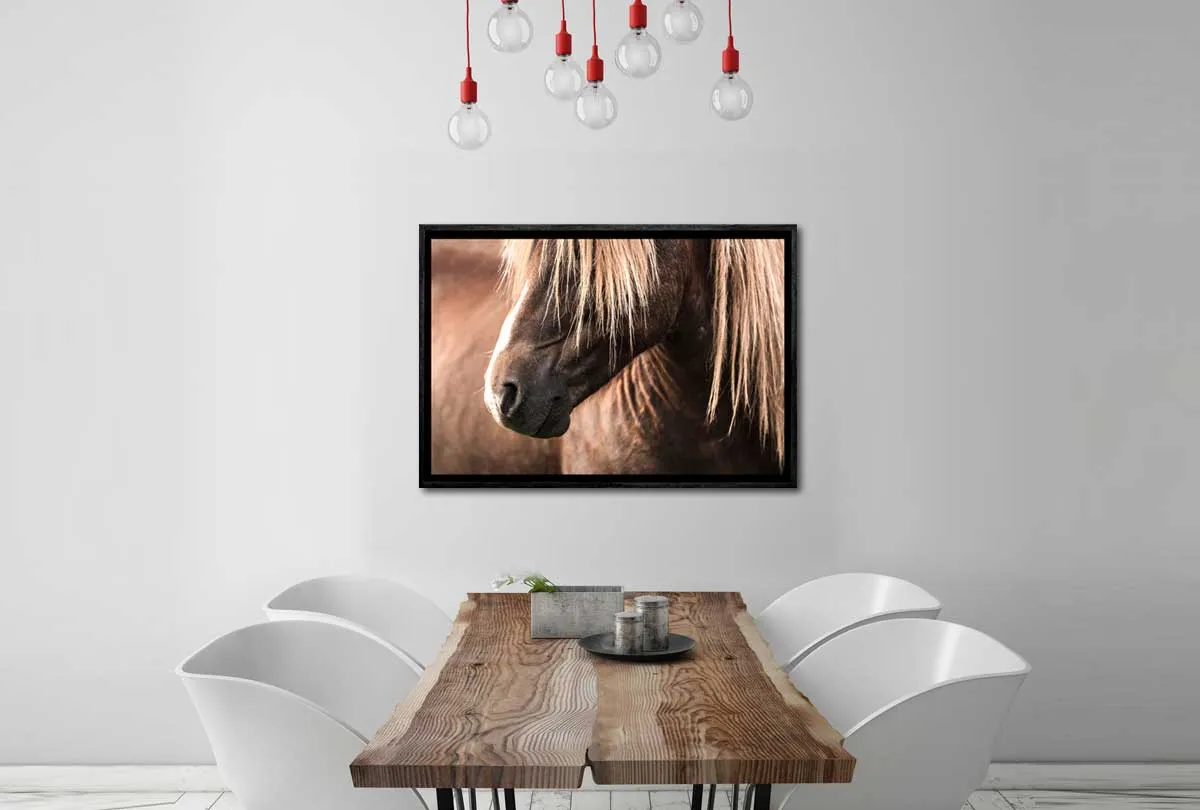 Icelandic Horse 3 | Canvas Wall Art Print