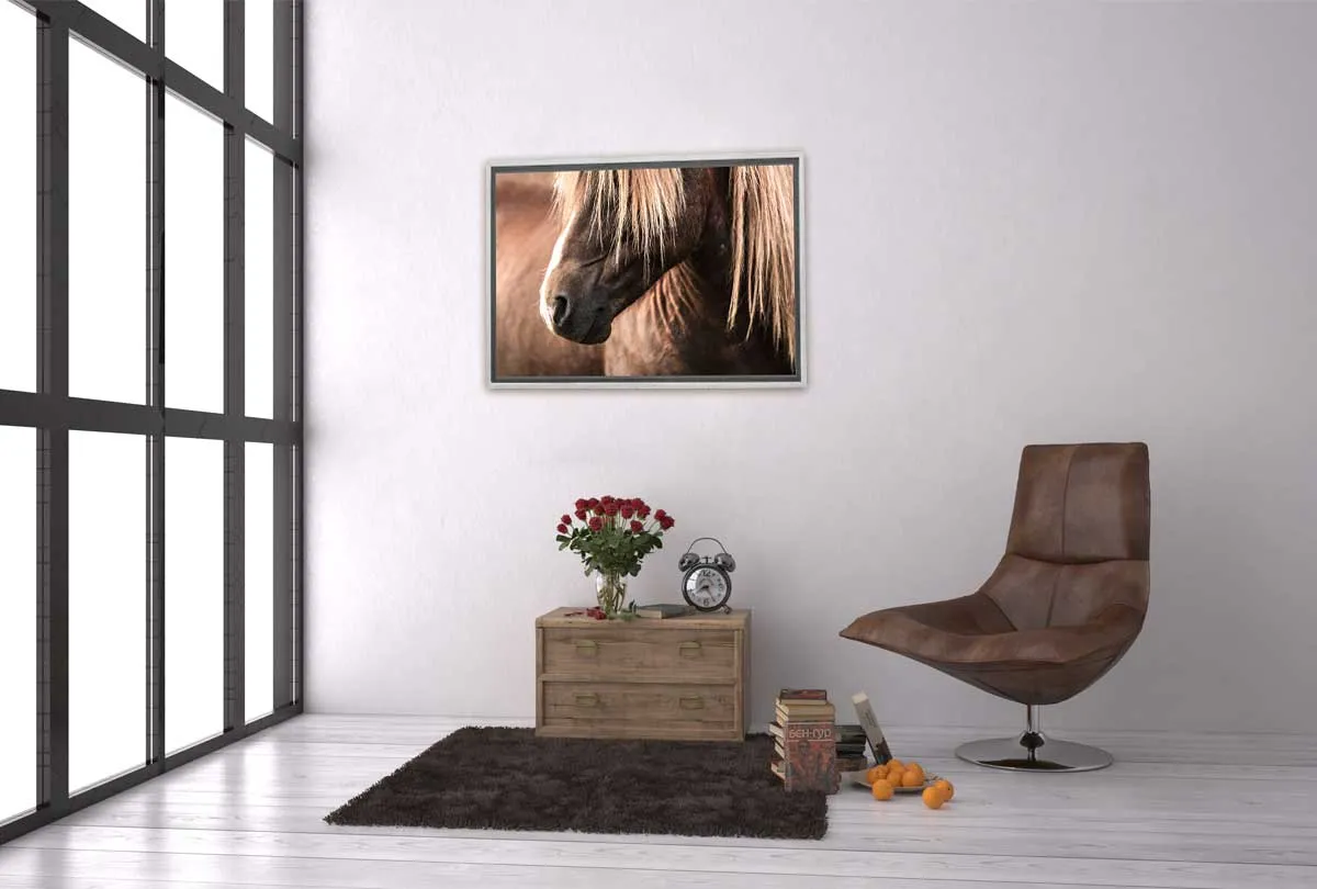 Icelandic Horse 3 | Canvas Wall Art Print