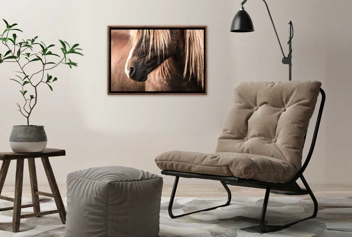 Icelandic Horse 3 | Canvas Wall Art Print