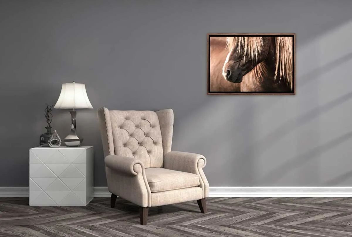 Icelandic Horse 3 | Canvas Wall Art Print